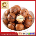 Hot Sales Roasted Flavored Macadamia Nut